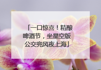 一口惊喜！精酿啤酒节，坐星空版公交兜风夜上海