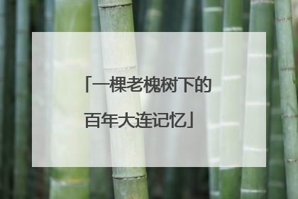 一棵老槐树下的百年大连记忆