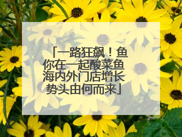 一路狂飙！鱼你在一起酸菜鱼海内外门店增长势头由何而来