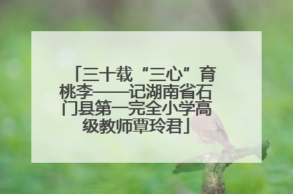 三十载“三心”育桃李——记湖南省石门县第一完全小学高级教师覃玲君