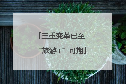 三重变革已至 “旅游+”可期