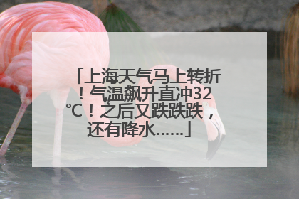 上海天气马上转折！气温飙升直冲32℃！之后又跌跌跌，还有降水……