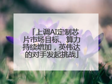 上调AI定制芯片市场目标、算力持续增加，英伟达的对手发起挑战