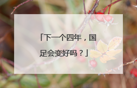 下一个四年，国足会变好吗？