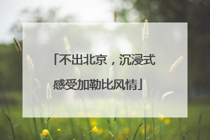 不出北京，沉浸式感受加勒比风情