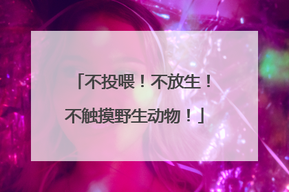 不投喂！不放生！不触摸野生动物！