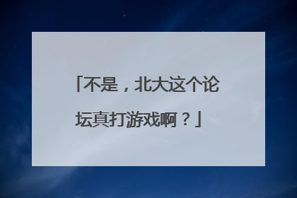 不是，北大这个论坛真打游戏啊？