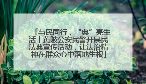与民同行，“典”亮生活丨黄陂公安民警开展民法典宣传活动，让法治精神在群众心中落地生根
