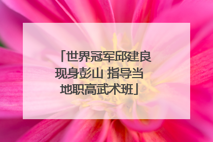 世界冠军邱建良现身彭山 指导当地职高武术班