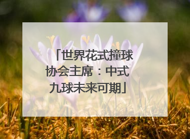 世界花式撞球协会主席：中式九球未来可期
