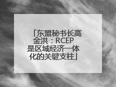 东盟秘书长高金洪：RCEP是区域经济一体化的关键支柱