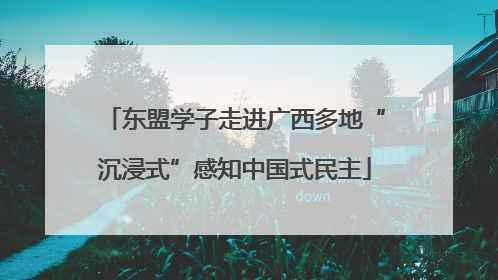 东盟学子走进广西多地“沉浸式”感知中国式民主