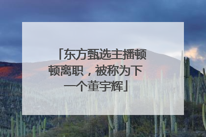 东方甄选主播顿顿离职，被称为下一个董宇辉