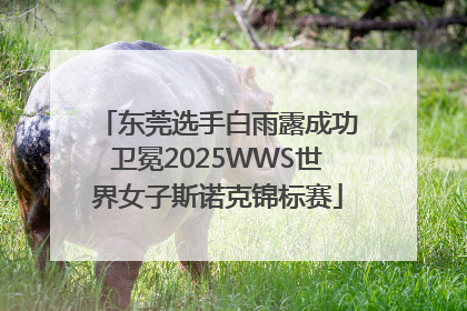 东莞选手白雨露成功卫冕2025WWS世界女子斯诺克锦标赛