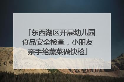 东西湖区开展幼儿园食品安全检查，小朋友亲手给蔬菜做快检