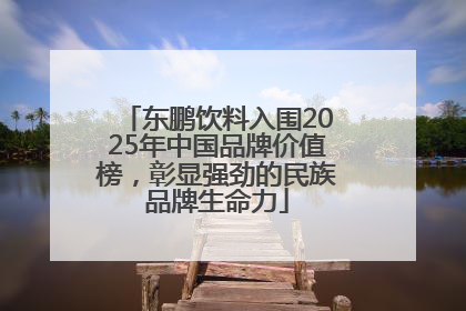 东鹏饮料入围2025年中国品牌价值榜，彰显强劲的民族品牌生命力