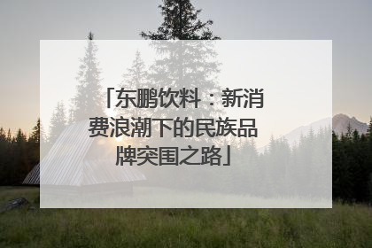 东鹏饮料：新消费浪潮下的民族品牌突围之路