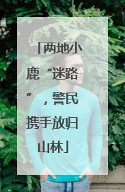 两地小鹿“迷路”，警民携手放归山林