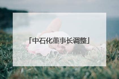 中石化董事长调整