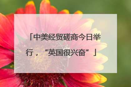 中美经贸磋商今日举行，“英国很兴奋”