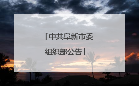 中共阜新市委组织部公告