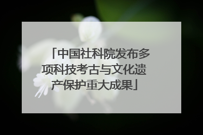 中国社科院发布多项科技考古与文化遗产保护重大成果