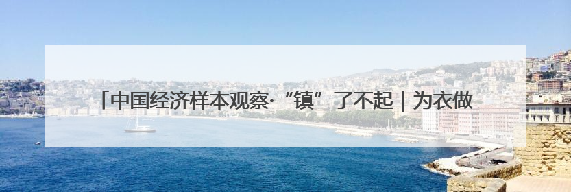 中国经济样本观察·“镇”了不起｜为衣做架，“挂”出来的80亿元“衣架产业”