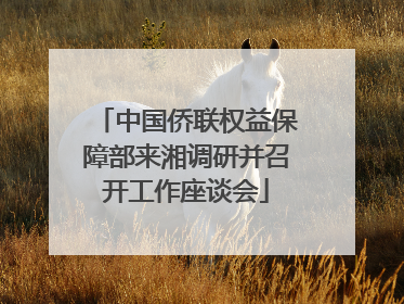 中国侨联权益保障部来湘调研并召开工作座谈会