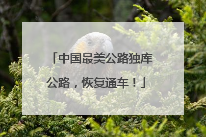 中国最美公路独库公路，恢复通车！