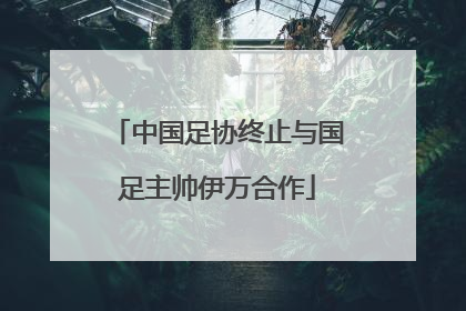 中国足协终止与国足主帅伊万合作