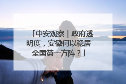 中安观察｜政府透明度，安徽何以稳居全国第一方阵？