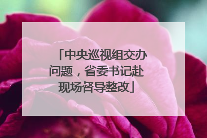 中央巡视组交办问题，省委书记赴现场督导整改