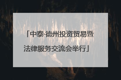 中泰·德州投资贸易暨法律服务交流会举行