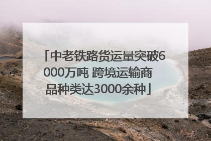 中老铁路货运量突破6000万吨 跨境运输商品种类达3000余种