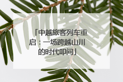 中越旅客列车重启：一场跨越山川的时代叩问