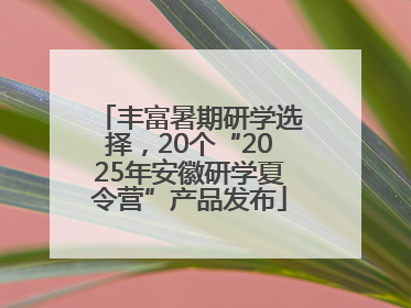 丰富暑期研学选择，20个“2025年安徽研学夏令营”产品发布