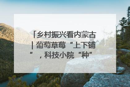 乡村振兴看内蒙古｜葡萄草莓“上下铺”，科技小院“种”出三倍效益