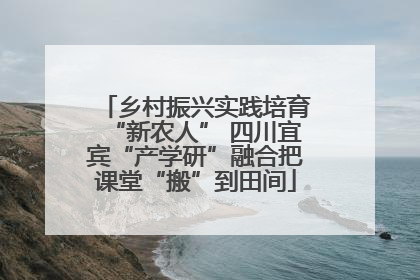 乡村振兴实践培育“新农人” 四川宜宾“产学研”融合把课堂“搬”到田间