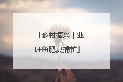 乡村振兴｜业旺鱼肥夏捕忙