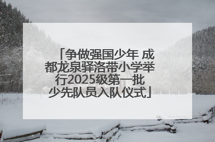 争做强国少年 成都龙泉驿洛带小学举行2025级第一批少先队员入队仪式