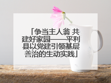 争当主人翁 共建好家园——平利县以党建引领基层善治的生动实践