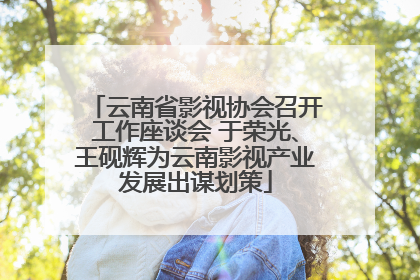 云南省影视协会召开工作座谈会 于荣光、王砚辉为云南影视产业发展出谋划策