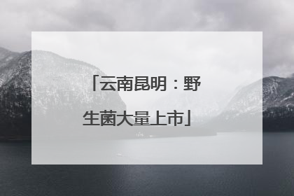 云南昆明：野生菌大量上市