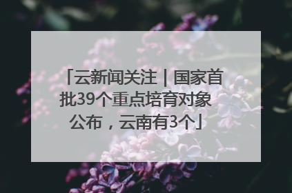 云新闻关注｜国家首批39个重点培育对象公布，云南有3个