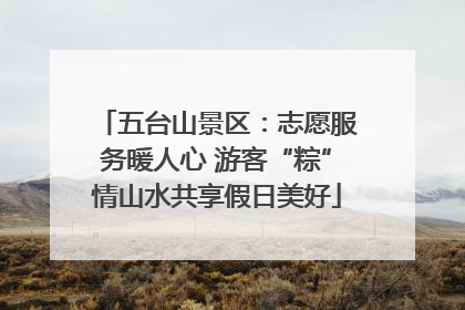 五台山景区：志愿服务暖人心 游客“粽”情山水共享假日美好