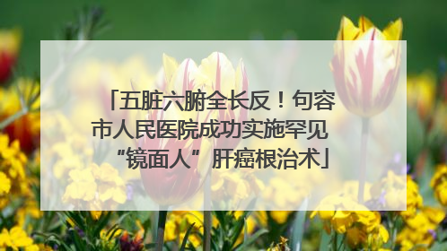 五脏六腑全长反！句容市人民医院成功实施罕见“镜面人”肝癌根治术