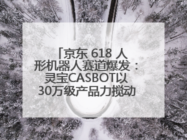 京东 618 人形机器人赛道爆发：灵宝CASBOT以30万级产品力搅动行业新变局