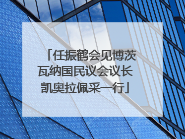 任振鹤会见博茨瓦纳国民议会议长凯奥拉佩采一行