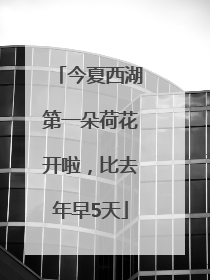 今夏西湖第一朵荷花开啦，比去年早5天