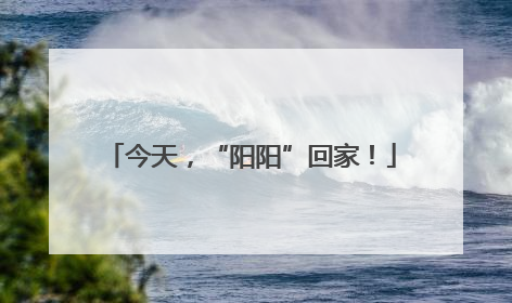 今天，“阳阳”回家！